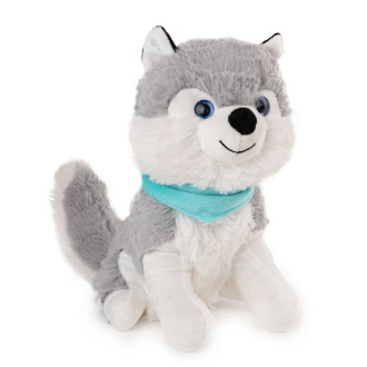 Куче хъски със син шал