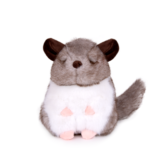 Чинчила І 2 цвята