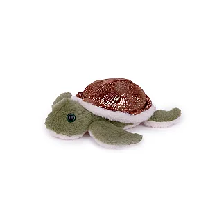 Костенурка — изглед 1